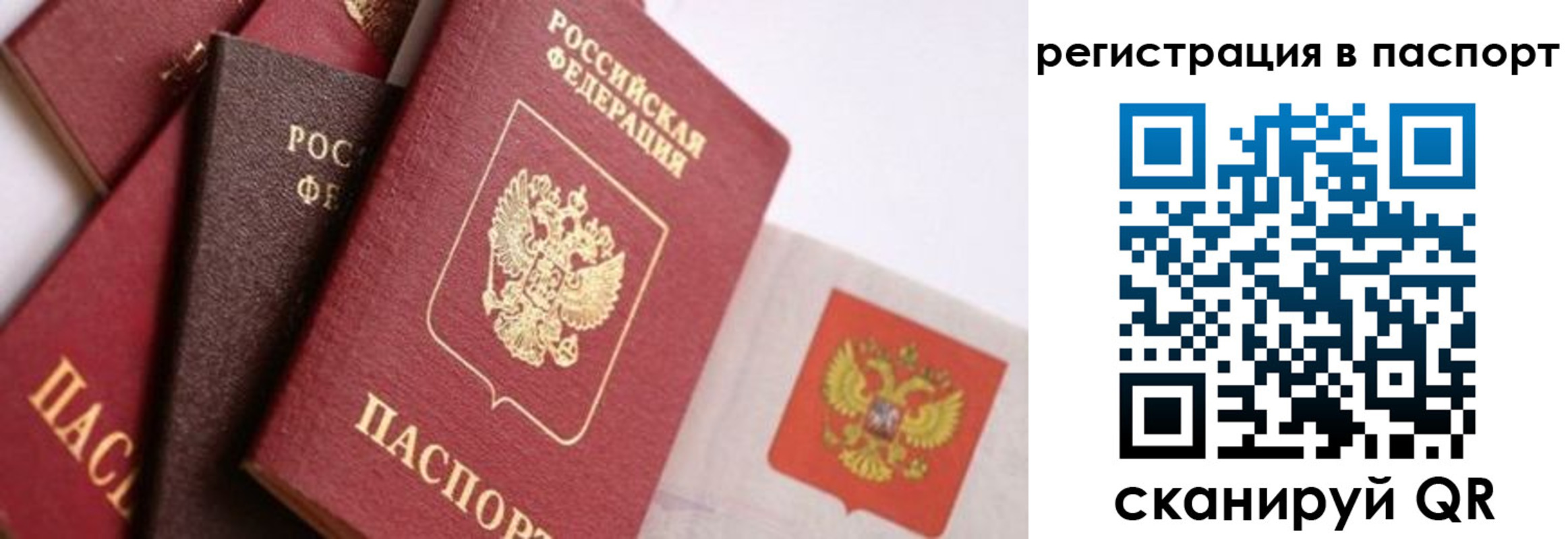 прописка в квартире в Тамбове